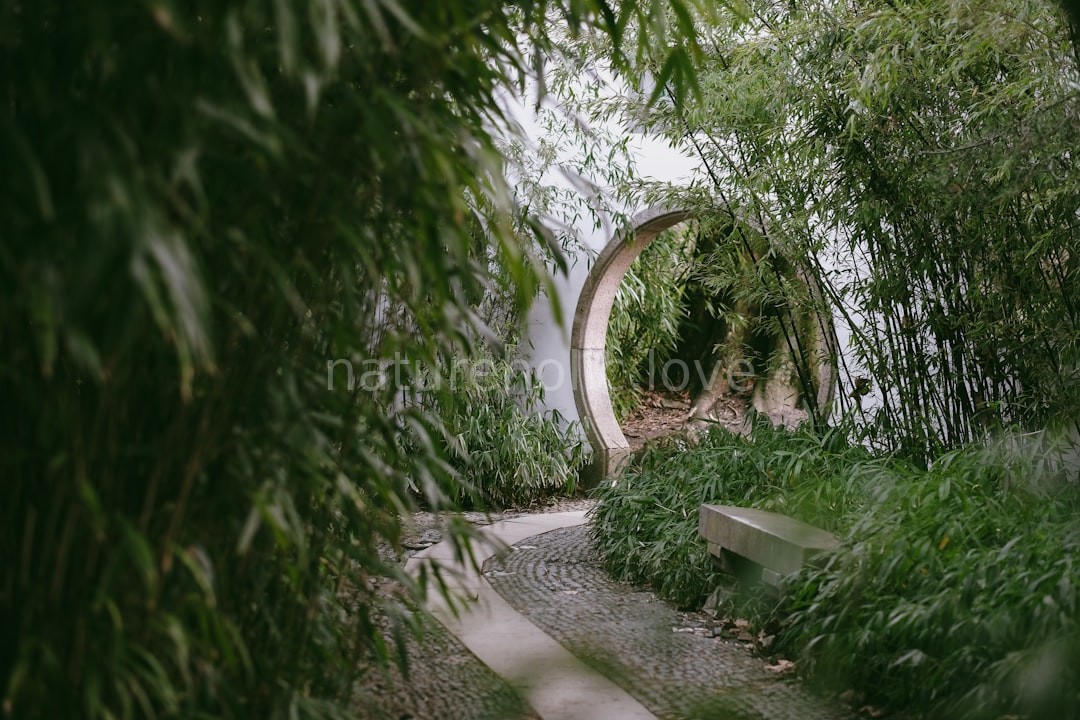 Garden Design