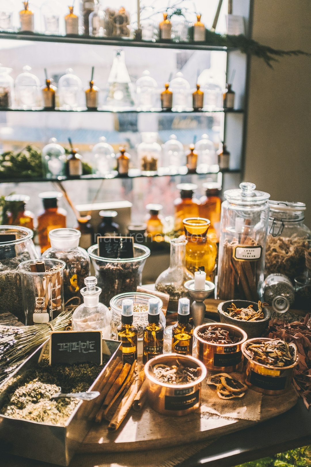 Herbalist at work